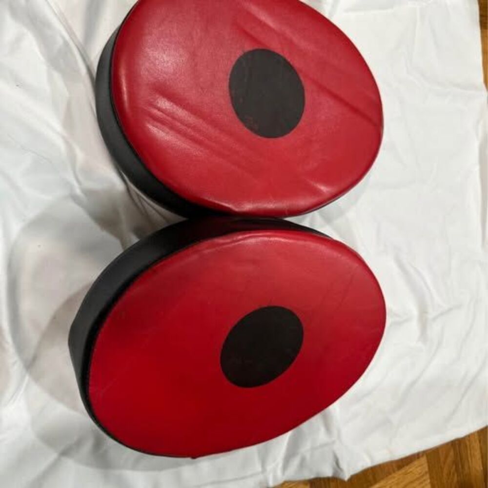 Everlast 4316 Boxing Pads Punch Kick Training Hand Pads Set Of 2